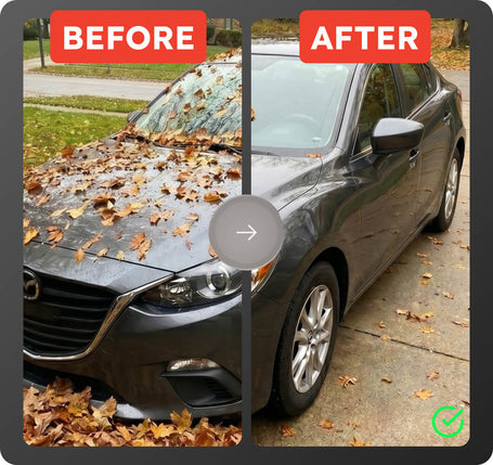 Before and after comparison of a car with leaves on the hood.